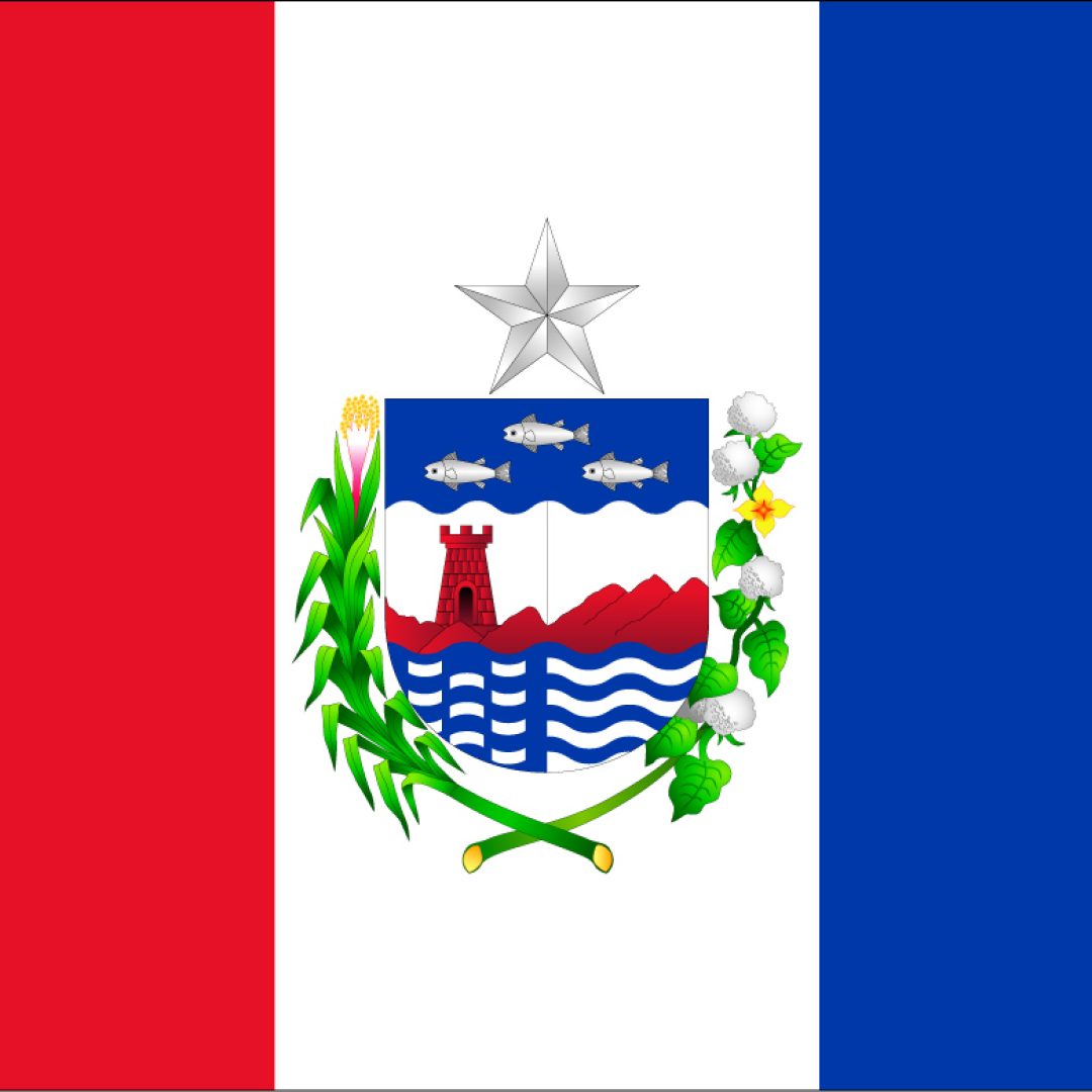 Bandeiras Estados do Brasil